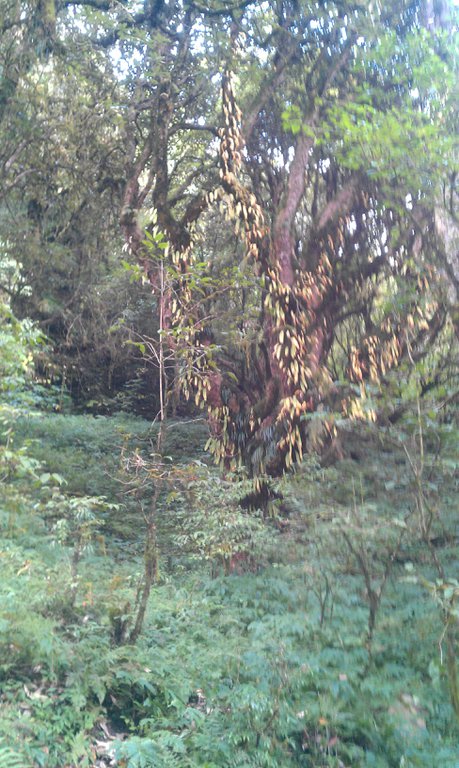 Image IMAG0784.jpg