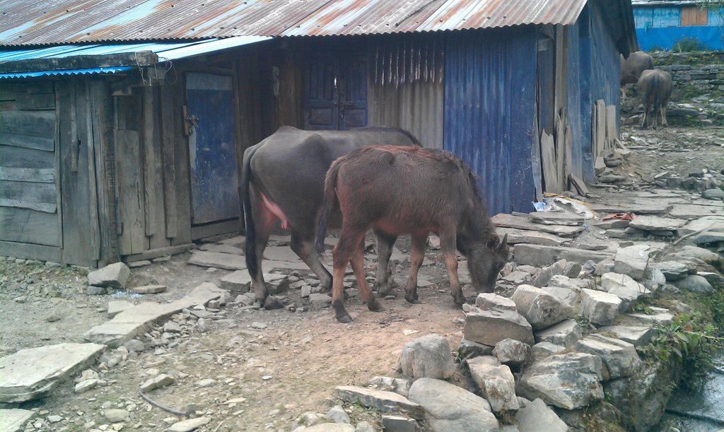 Image IMAG0792.jpg