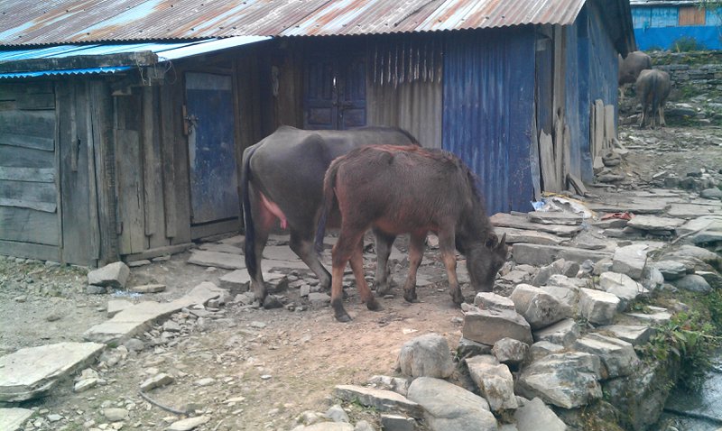Image IMAG0792.jpg