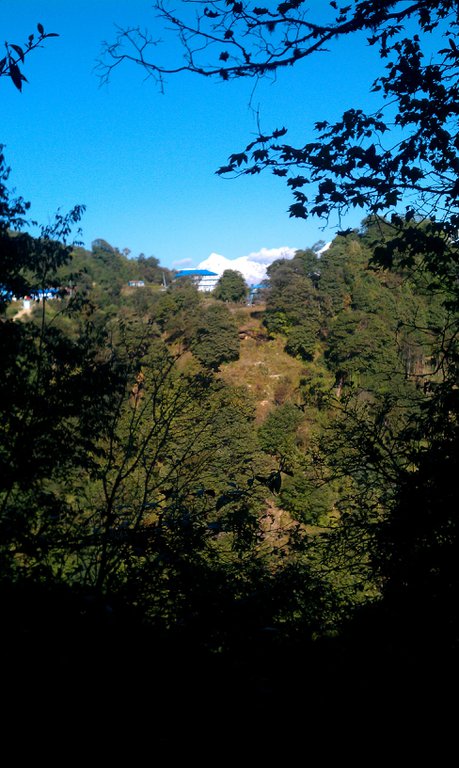 Image IMAG0896.jpg