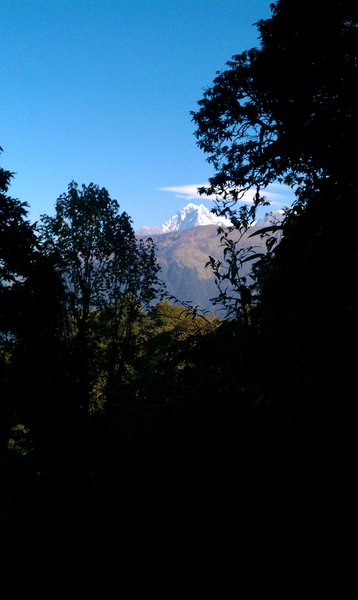 Image IMAG0897.jpg