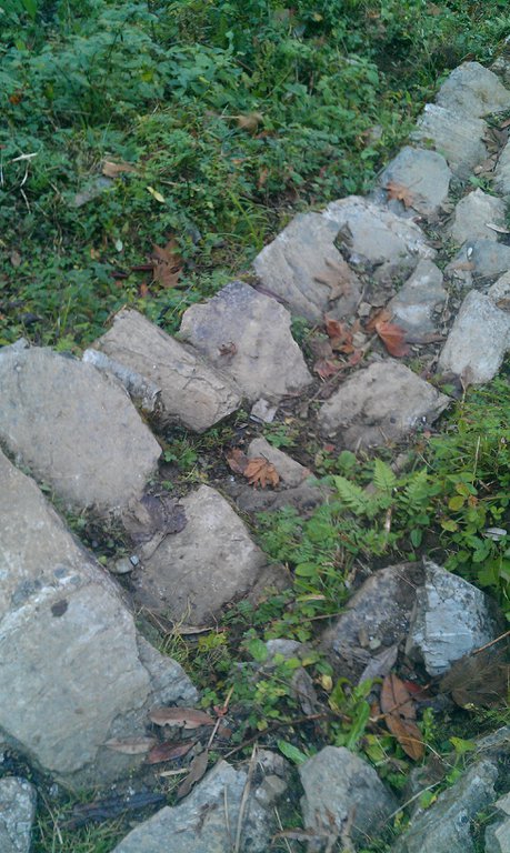 Image IMAG0899.jpg