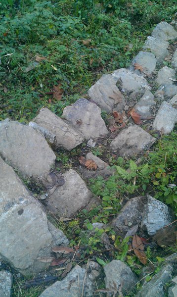 Image IMAG0899.jpg
