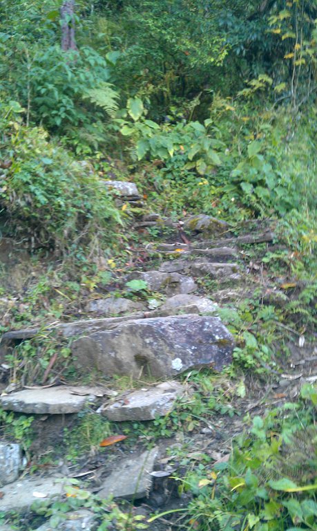 Image IMAG0900.jpg