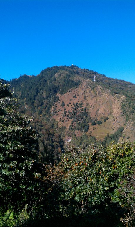 Image IMAG0903.jpg