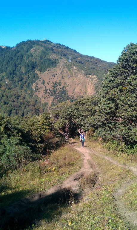 Image IMAG0907.jpg