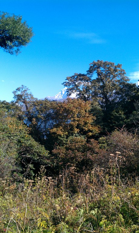 Image IMAG0908.jpg