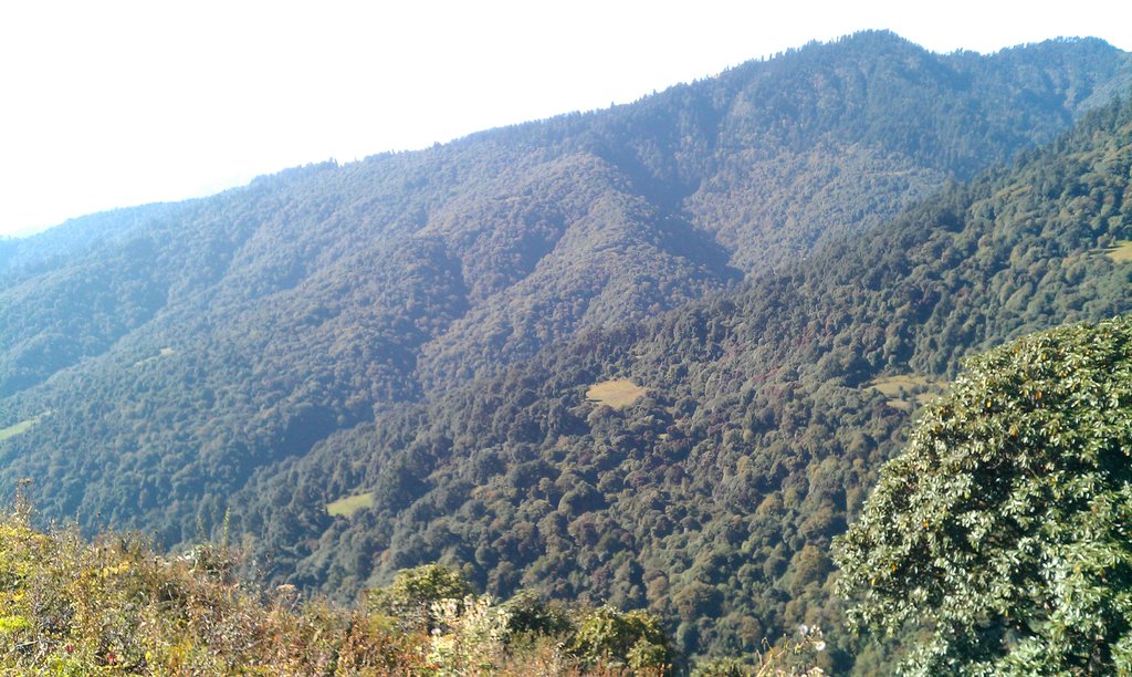 Image IMAG0914.jpg