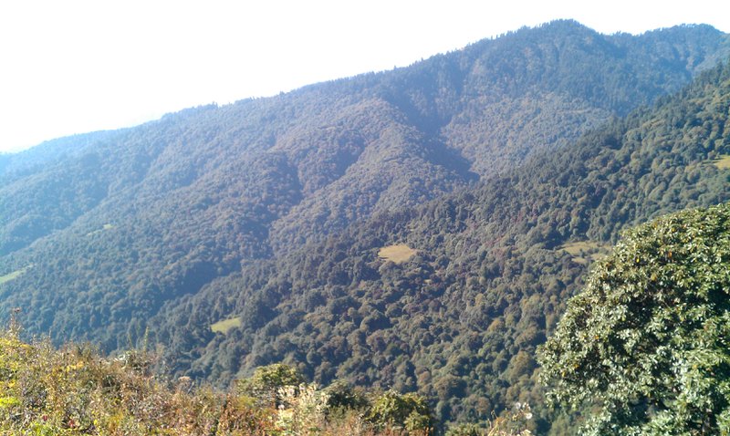 Image IMAG0914.jpg