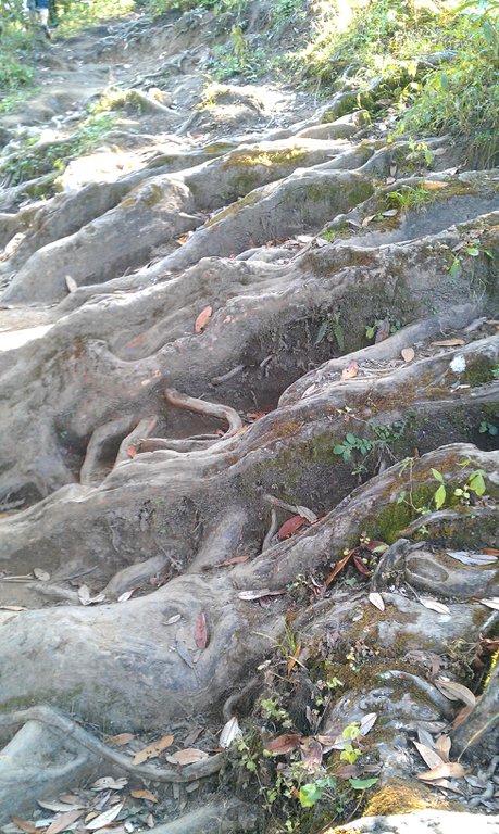 Image IMAG0916.jpg