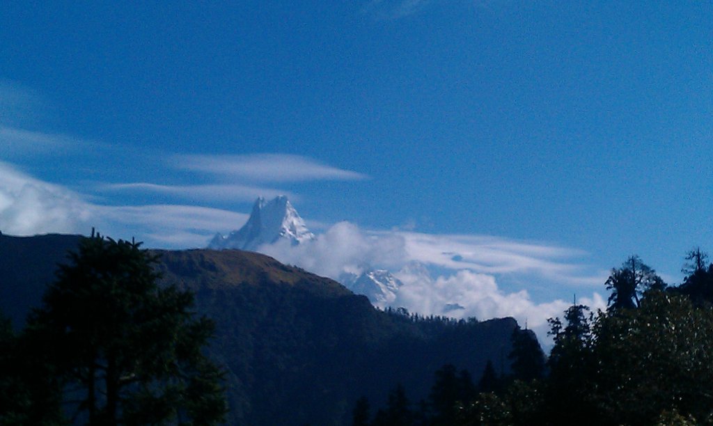 Image IMAG0925.jpg