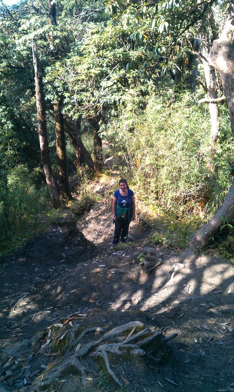 Image IMAG0926.jpg