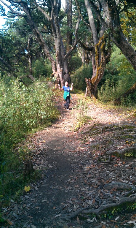 Image IMAG0927.jpg
