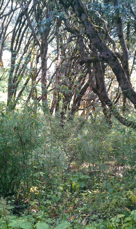 Image IMAG0928.jpg
