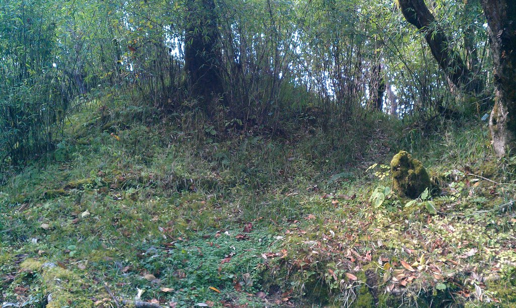 Image IMAG0933.jpg