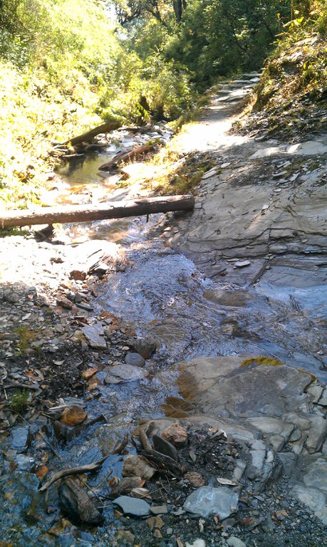 Image IMAG0935.jpg