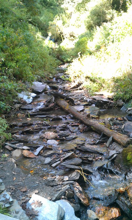 Image IMAG0936.jpg