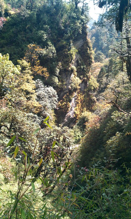 Image IMAG0938.jpg