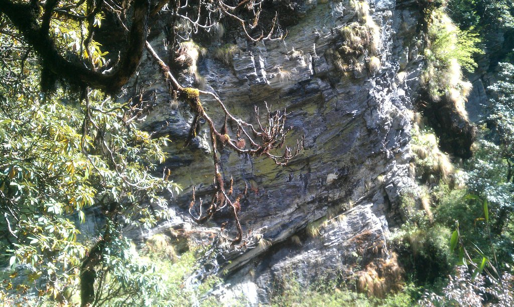 Image IMAG0939.jpg