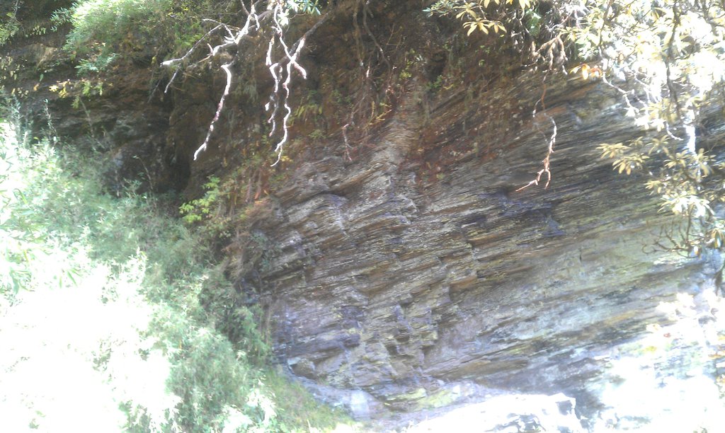 Image IMAG0940.jpg