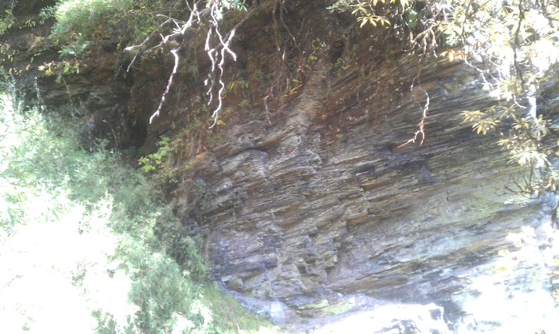 Image IMAG0940.jpg