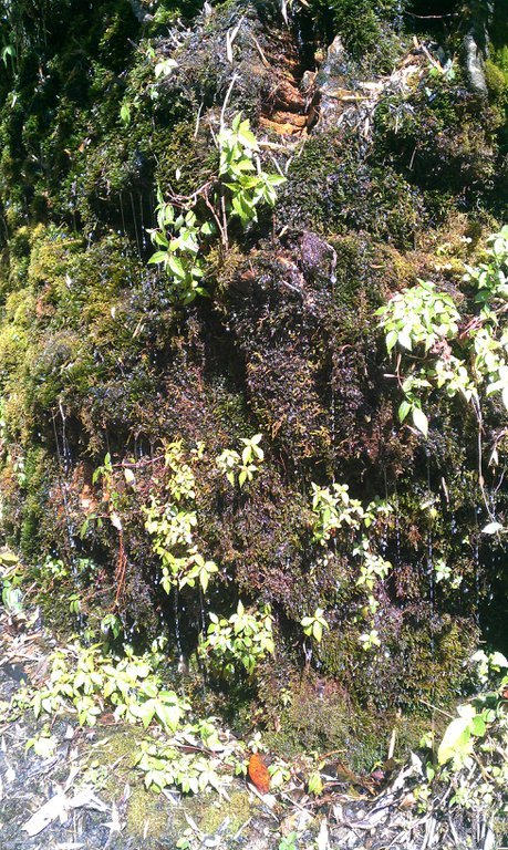 Image IMAG0945.jpg