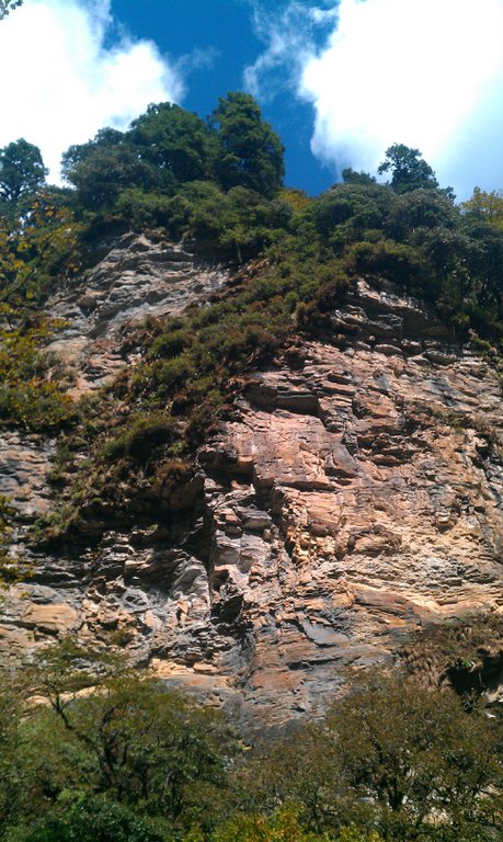 Image IMAG0947.jpg