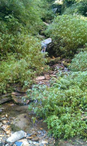 Image IMAG0950.jpg