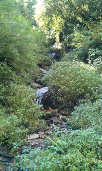 Image IMAG0951.jpg