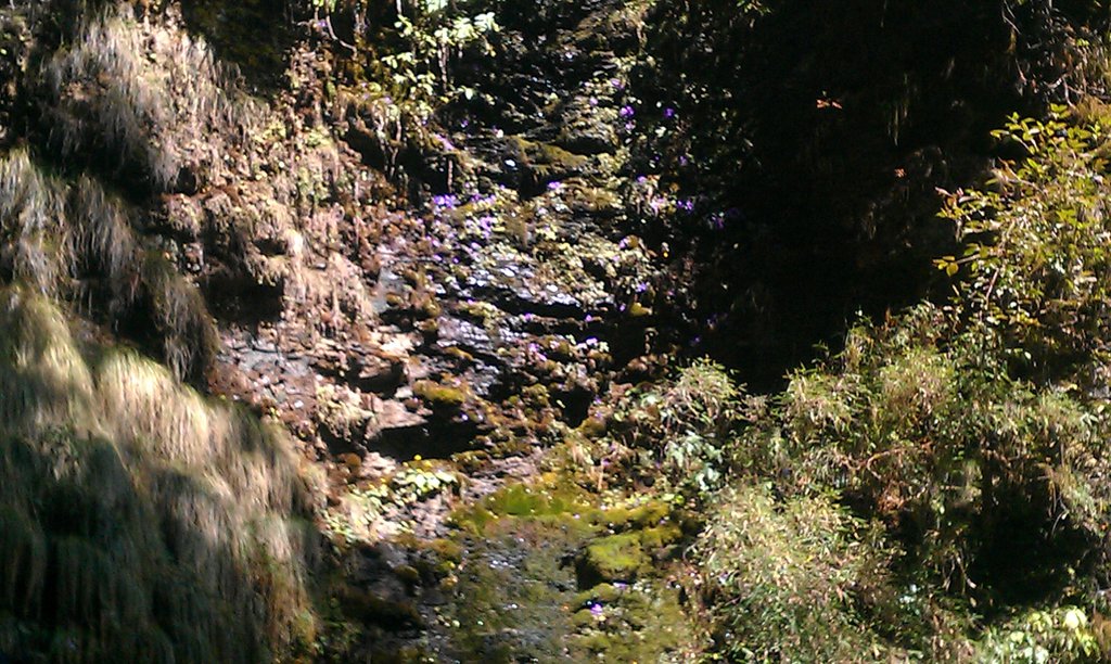Image IMAG0954.jpg