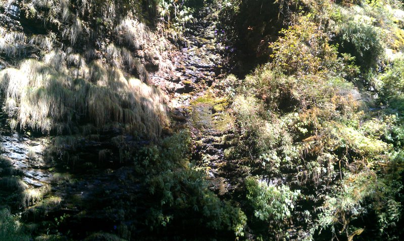 Image IMAG0955.jpg