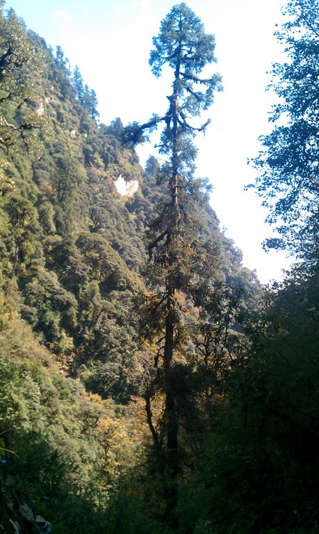 Image IMAG0956.jpg