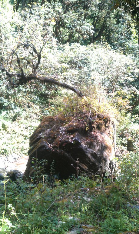 Image IMAG0958.jpg