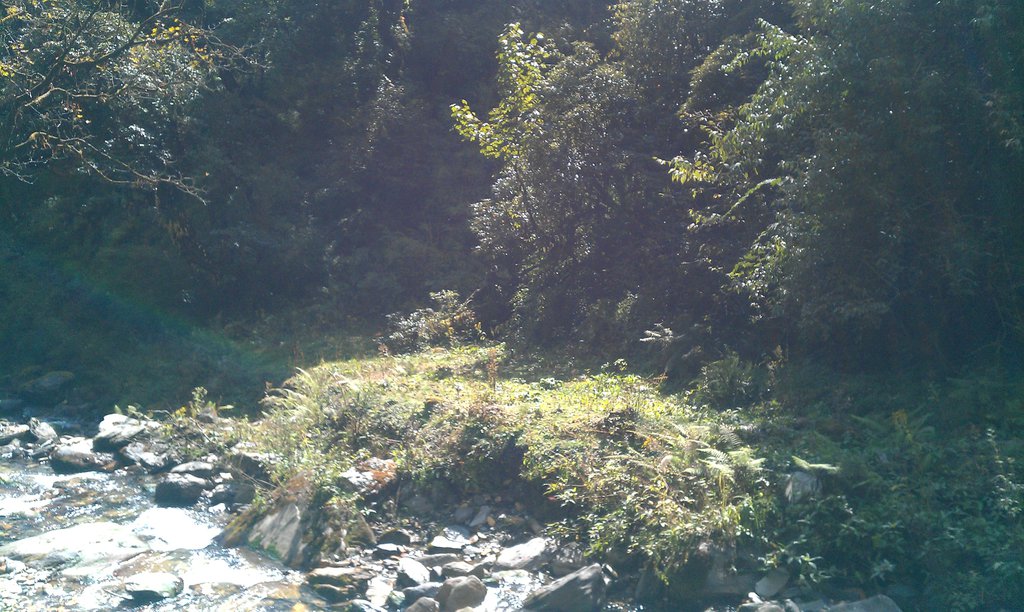 Image IMAG0961.jpg