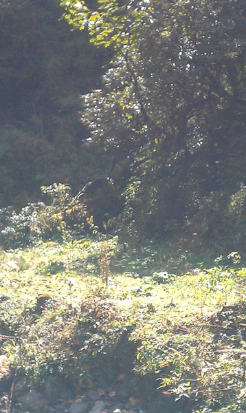 Image IMAG0962.jpg
