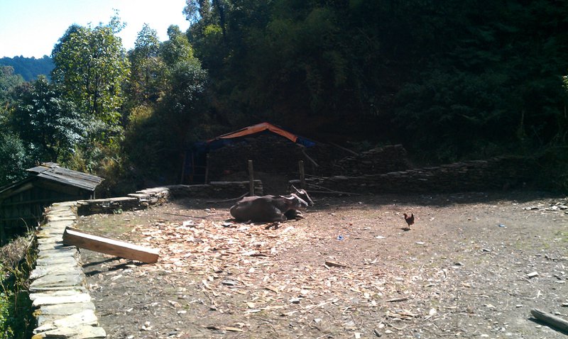 Image IMAG0964.jpg