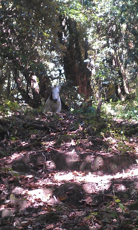 Image IMAG0971.jpg