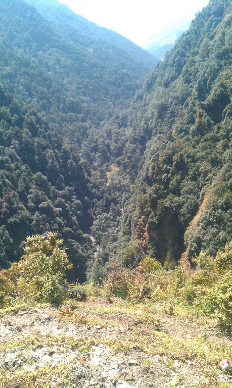 Image IMAG0975.jpg