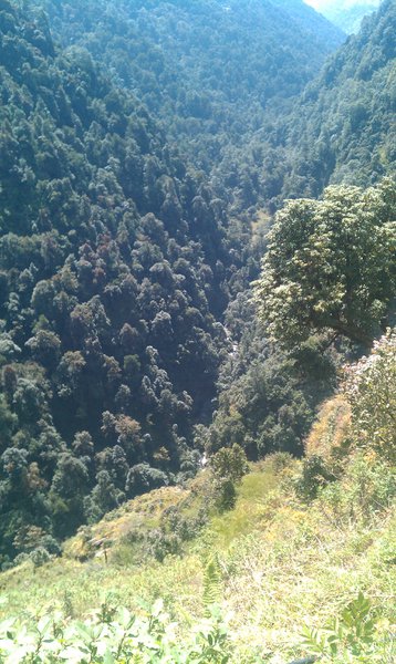 Image IMAG0976.jpg