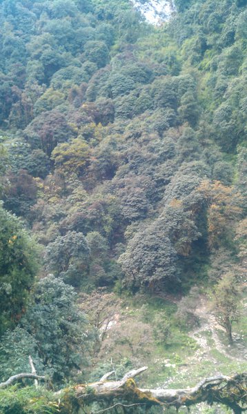 Image IMAG0977.jpg