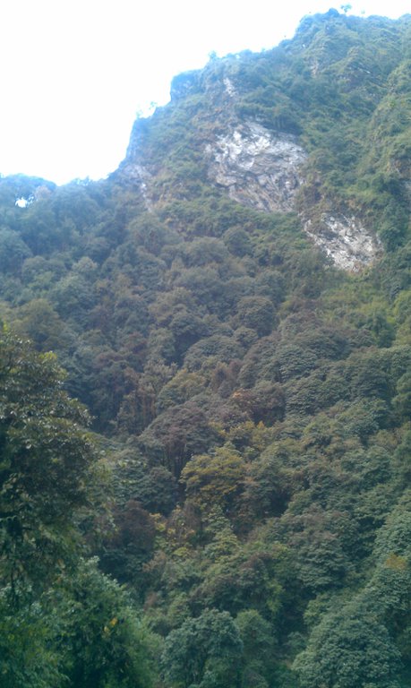 Image IMAG0978.jpg