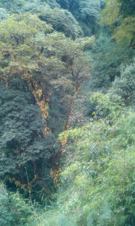 Image IMAG0982.jpg