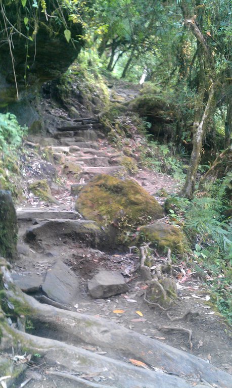 Image IMAG0983.jpg