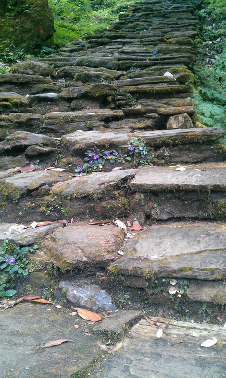 Image IMAG0990.jpg