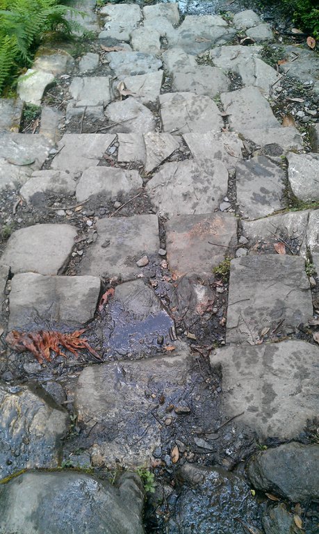 Image IMAG1007.jpg