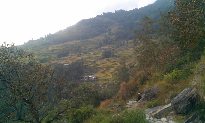 Image IMAG1033.jpg