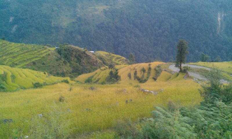Image IMAG1045.jpg