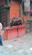 IMAG1260 thumb