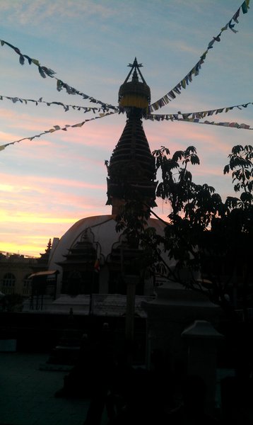 Image IMAG1262.jpg
