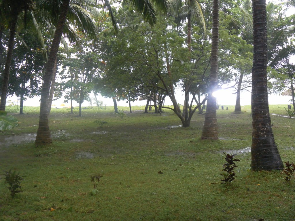 Image SAM_5177.JPG